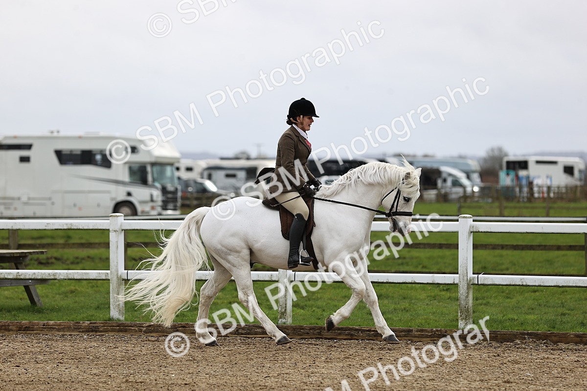 SBM_006929 - Class 29 - 30 - M&M Pure Novice Small-Large Breeds