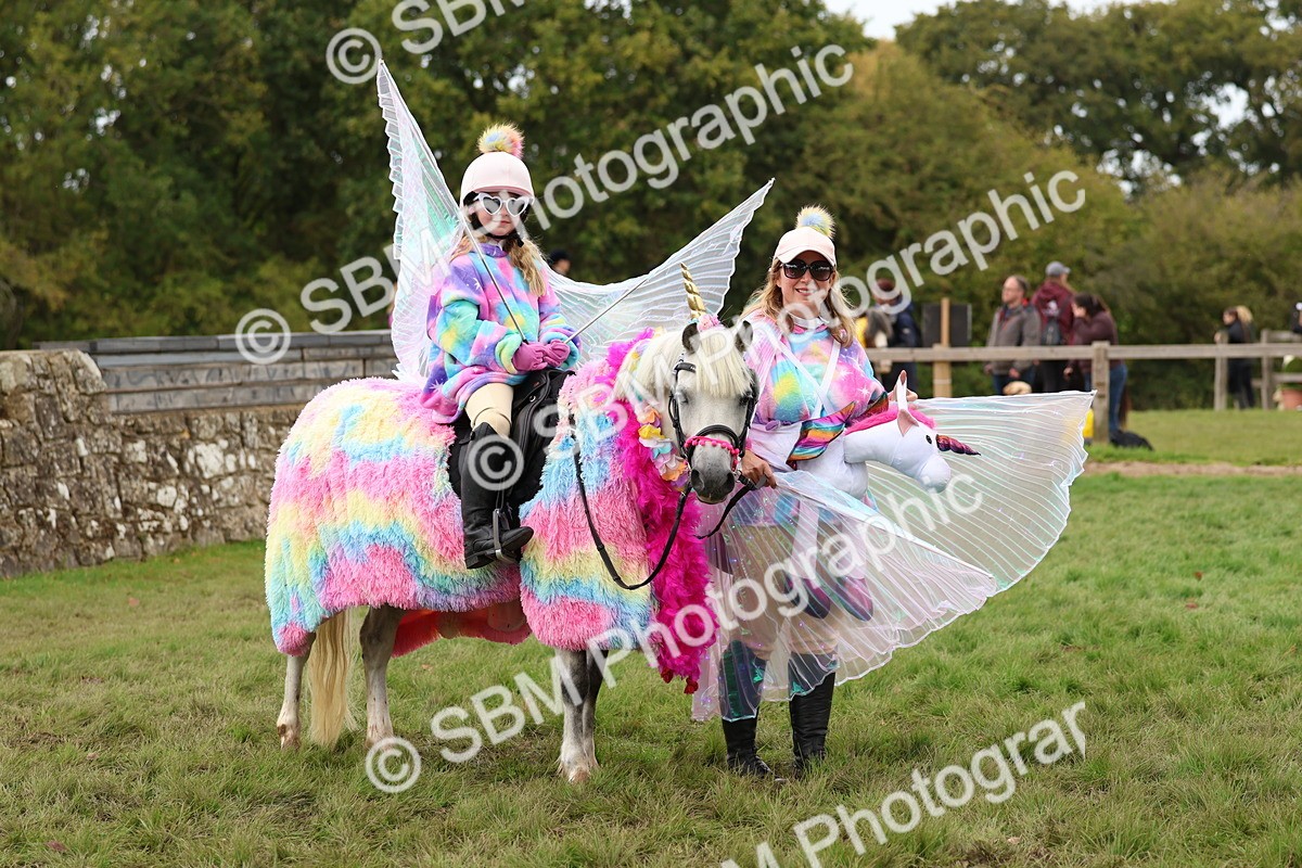 SBM_62182 - S37b - Best Unicorn