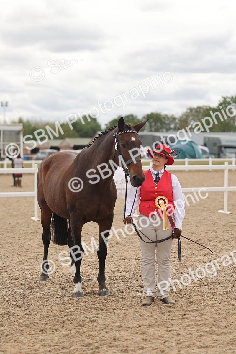 SBM_17028 - Class 312 - IH Competition Horse-Pony