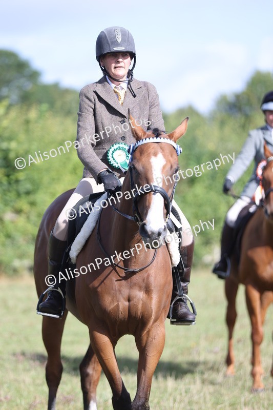 20250831-0948 - Class 14 - Ex Racehorse