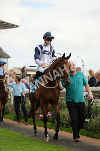 yr04092022r7-13 - Race 7 5.15pm Firmament Stakes