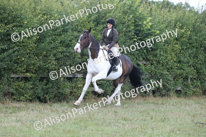 20250831-4270 - Class 20 - Ridden Coloured