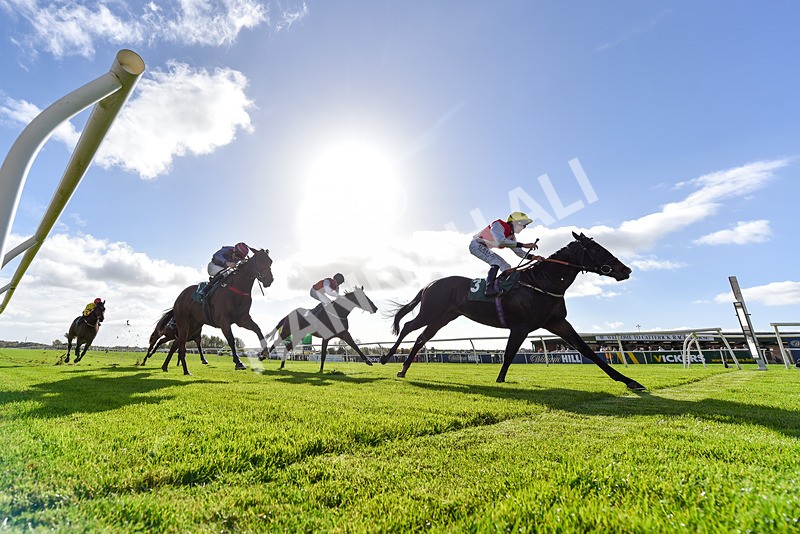 191024-Race 1-Obligatory-8332 - Race 1