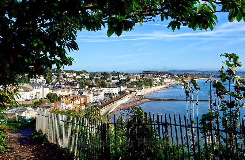 Looking down on Dawlish from the coast path - Dawlish and Black Swans