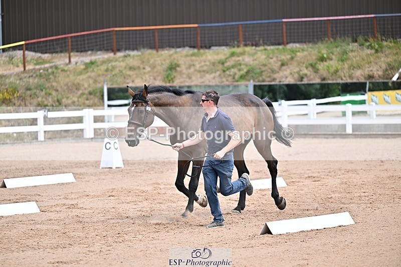 250716-130726-00346 - Trot Up 12.30 to 1.30