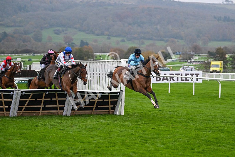 151124-Race 5-Potters Charm-8392 - Race 5