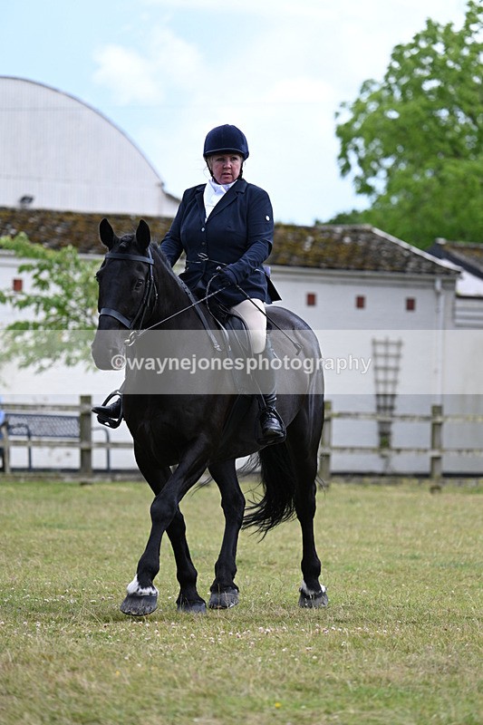 WJ7_9547 - Class 8 Ridden Veterans
