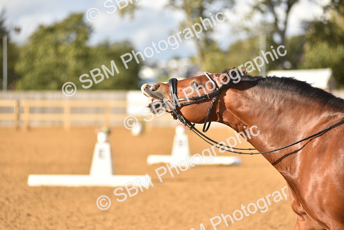 SBM_29675 - D16 -Small Tour Championship Novice 2