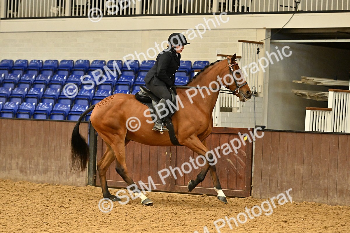 SBM_001990 - Class 24 - BSHA Ridden Racehorse to Show Horse