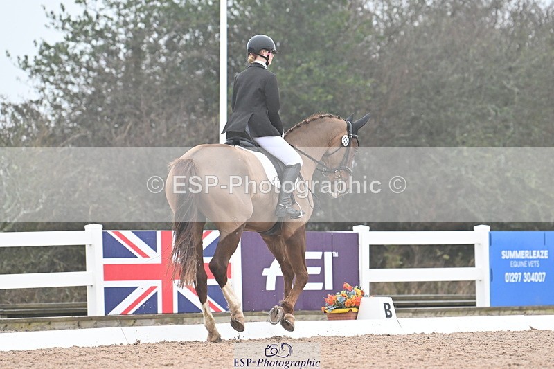 240217A-095250-00472 - 123-Daisy.Hedges-Felicia.v