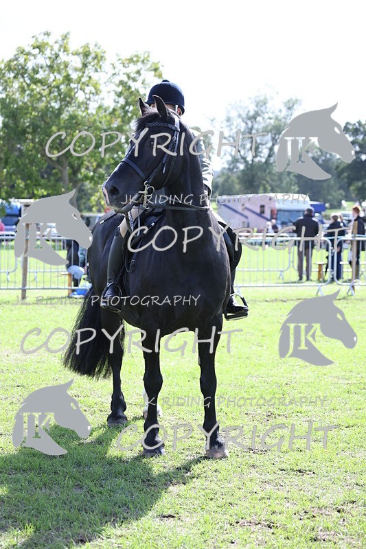 APP_3723 - Class 12 M&M ridden