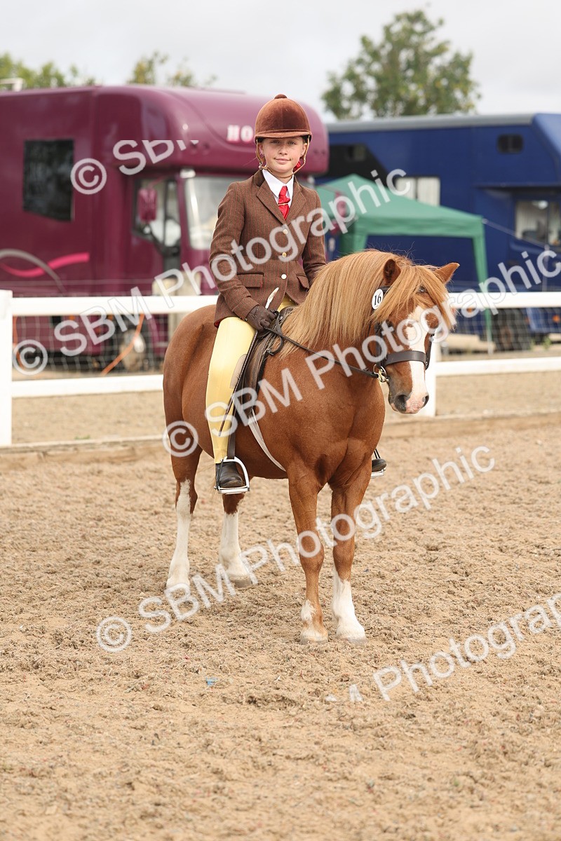 SBM_01986 - Class 14 - Ridden M&M Wildcard