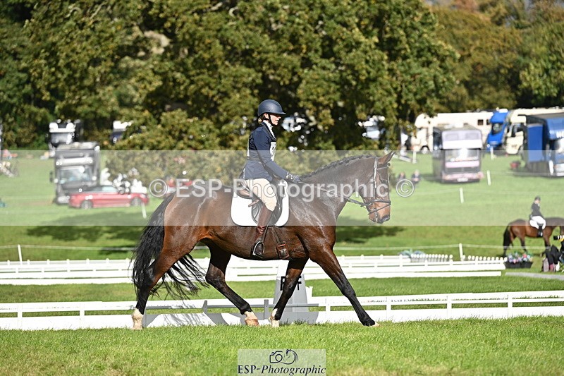 251024A-135014-12258 - D-366-Blythe.Jopling