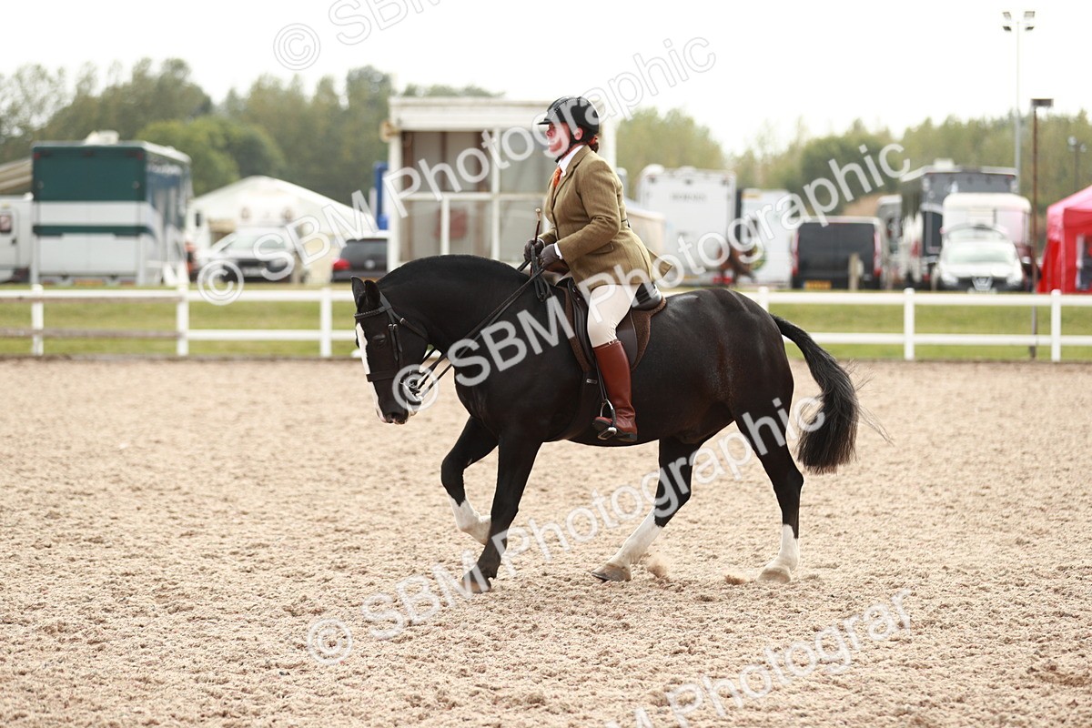 SBM_16717 - Class 214 Ridden Cob