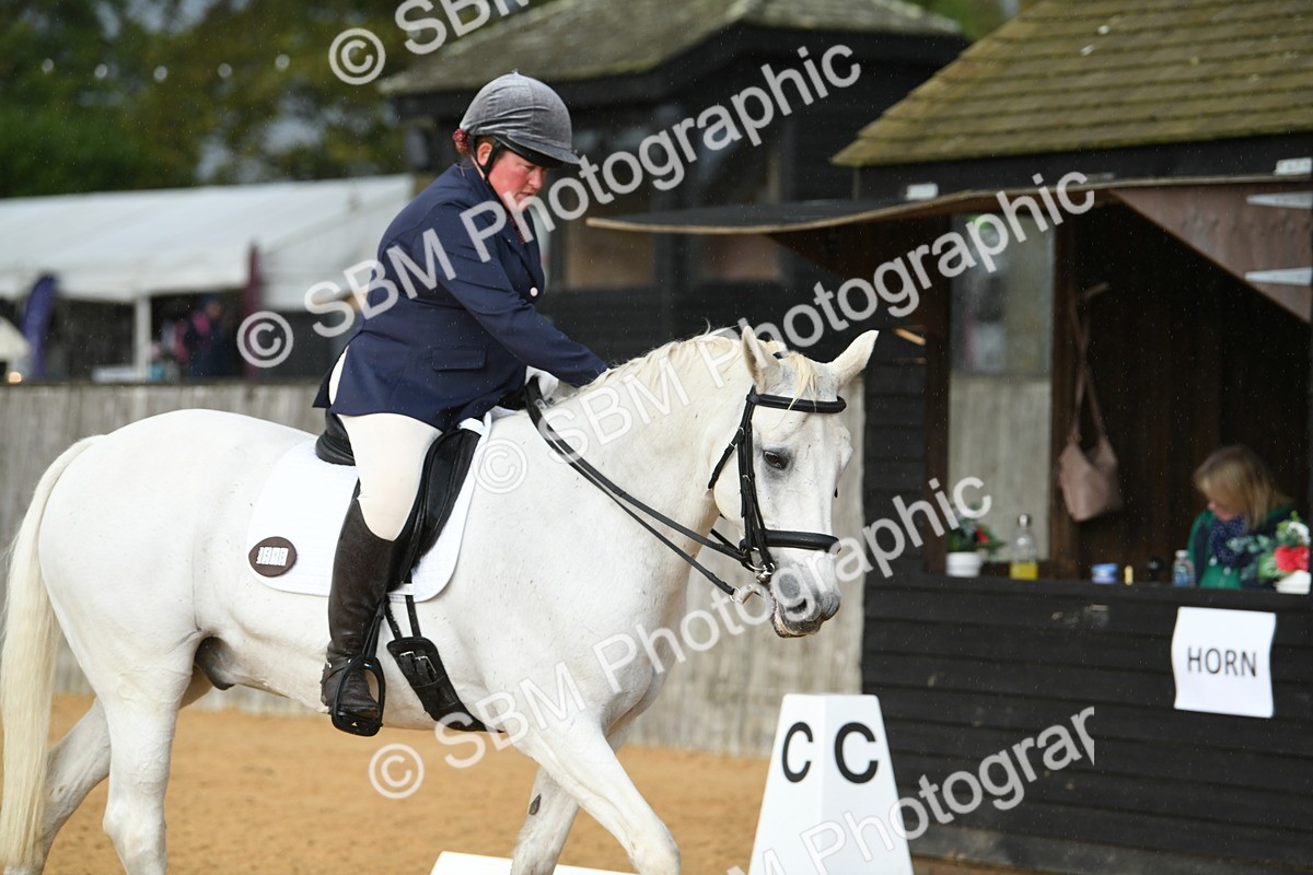 SBM_11143 - D28 Elementary Taster Elementary 42