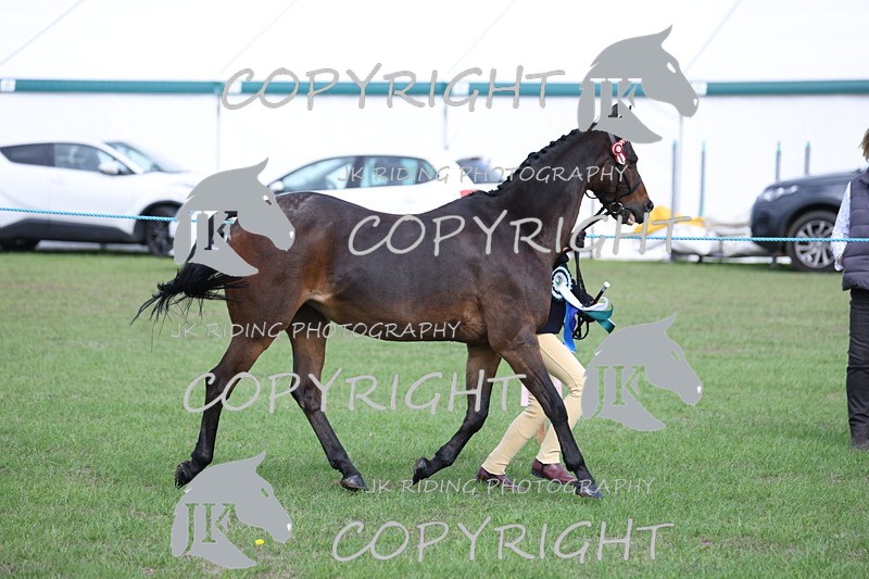 APP_2679 - Class 9 Veterans in hand