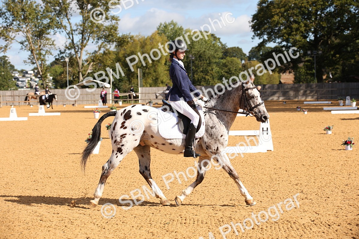 SBM_01953 - D2 Small Tour Championship Intro C