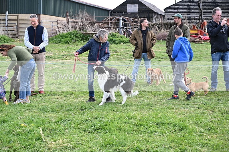 WJ6_8535 - Class 6 Best Rescue