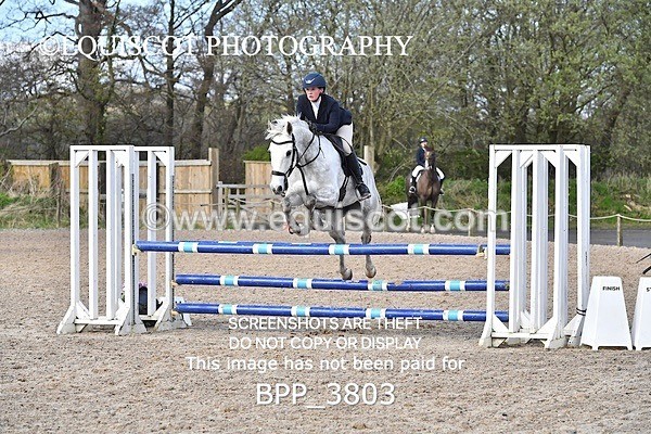 BPP_3803 - CLASS 3 FRI Senior British Novice/ 90cm Open