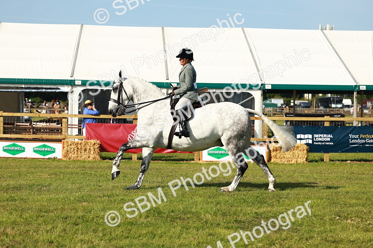 SBM_11791 - Class 66-69 - RIHS Ridden Hunters Inc Small Hunter