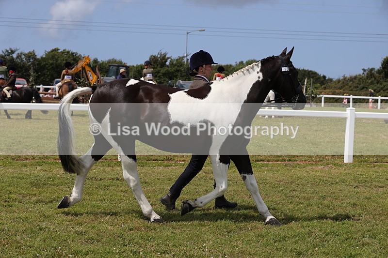 1X9A4735 - Class 35: Veteran In Hand