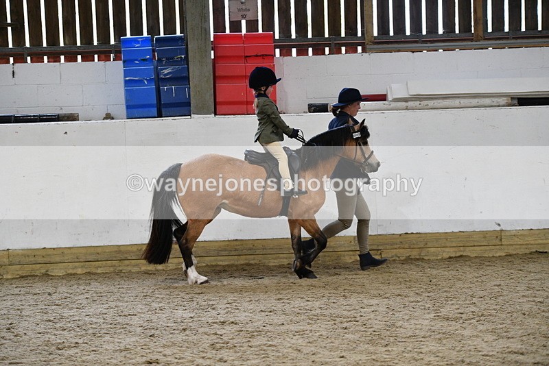 WJ5_6558 - Class 10 Childs Pony