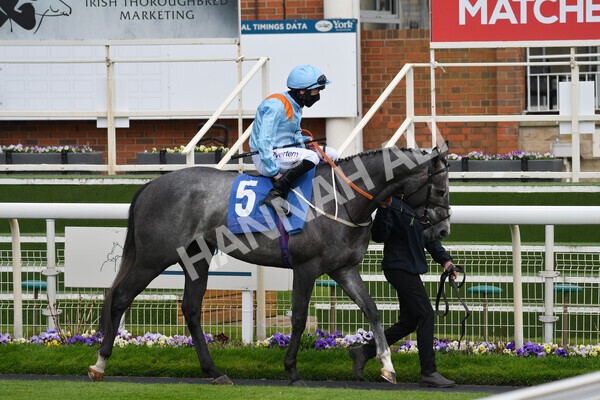 yr14052021r7-12 - Race 7 4.50pm Irish Thoroughbred Marketing Stakes