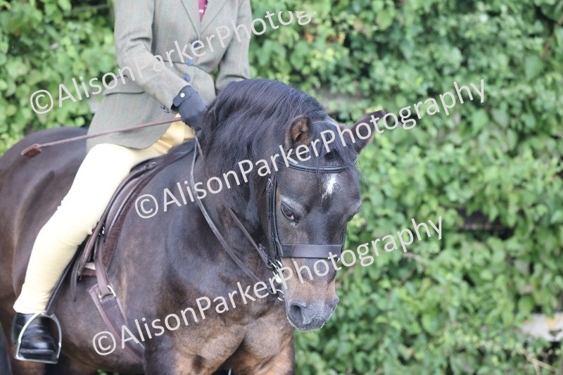 20250831-1090 - Class 15 - Ridden Veteran