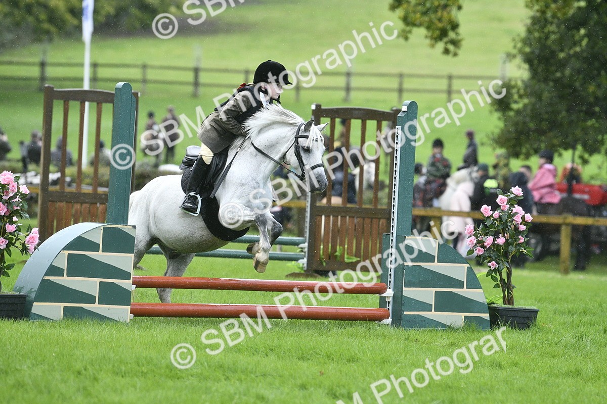 SBM_37155 - S31 - Novice & Newcomer Working Hunter Pony