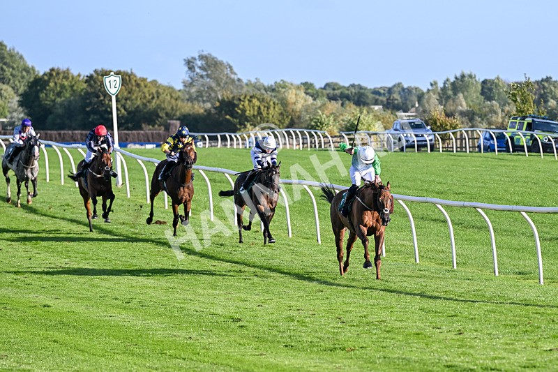 080926-Race 8-Zimmerman-3484 - Race 8 5.51pm Racing Again 30th September Amateur Jockeys' Handicap