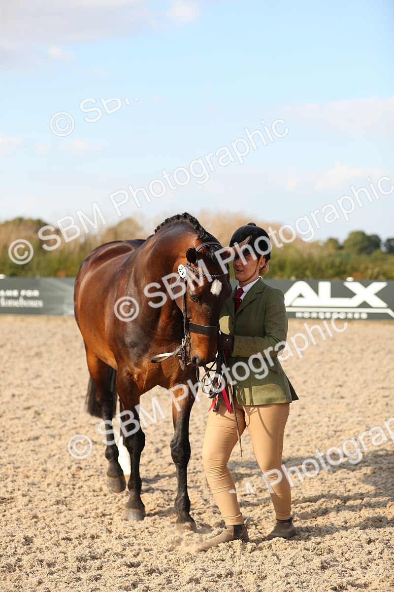 SBM_08677 - Class 28 - IH Veteran Horse