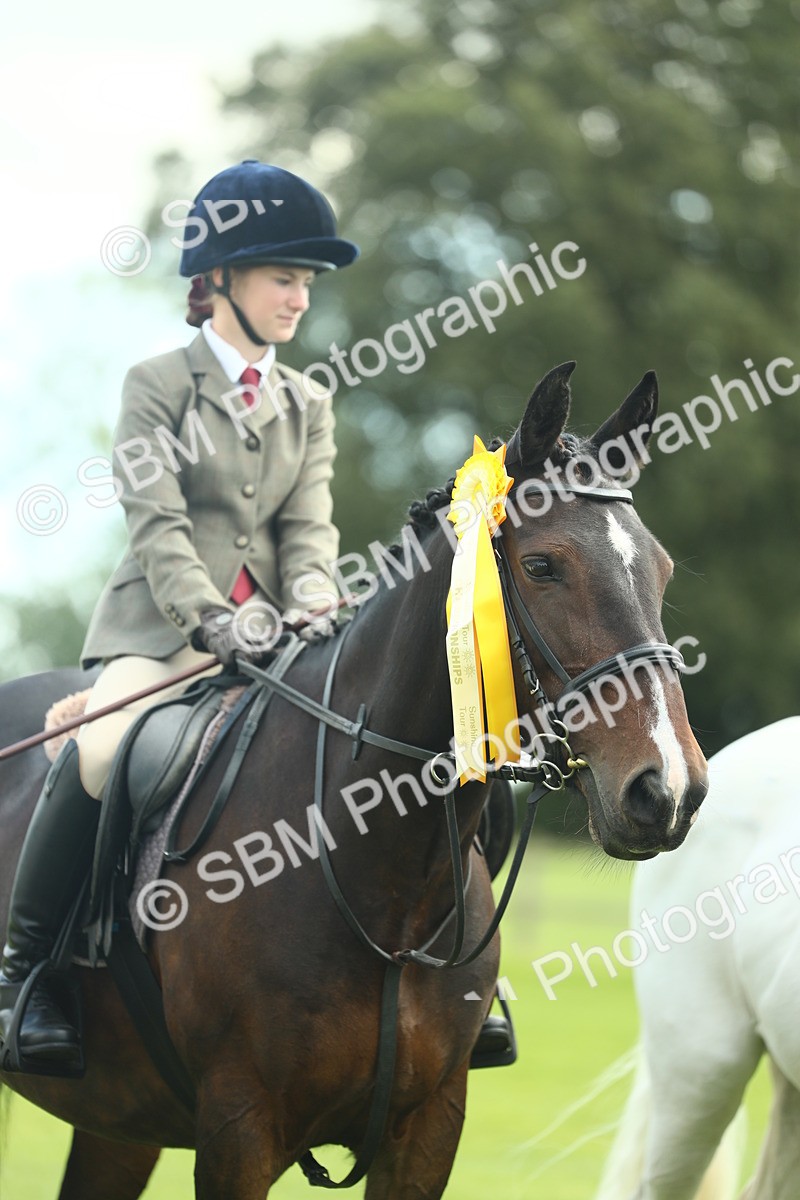 SBM_42237 - S29 - Novice & Newcomers Working Hunter Pony