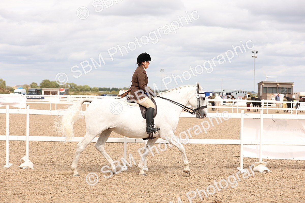 SBM_16540 - Class 212 - Ridden Hunter - Small