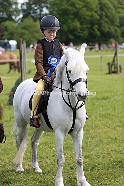 IMG_2340 - Working Hunter