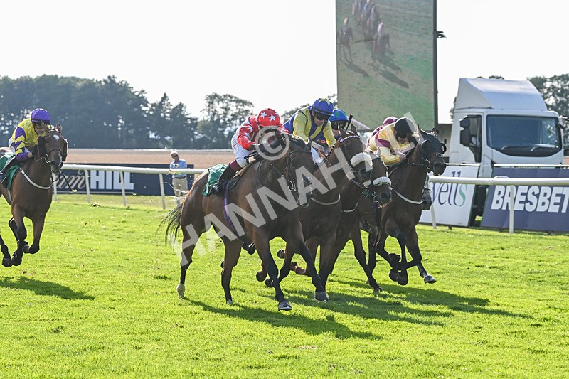 020825-Race 8-Dandy Dinmont-3900 - Race 8