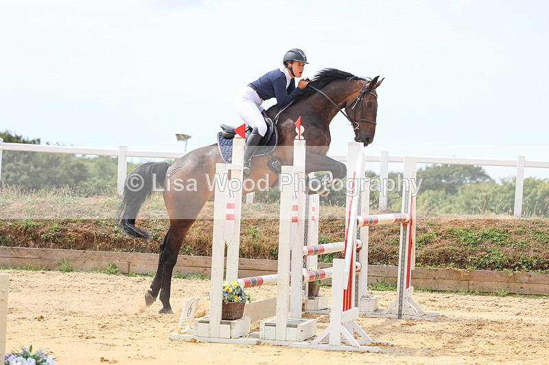 3E7A4380 - Class 8: Senior Foxhunter/1.20 open
