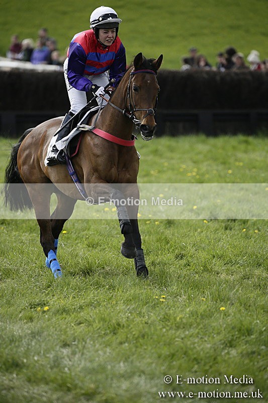 PtP 170417 431 - Old Berks Point-to-Point Lockinge 17/04/17