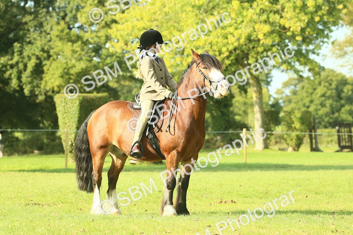 SBM_59915 - S38 - Starters Ridden Showing