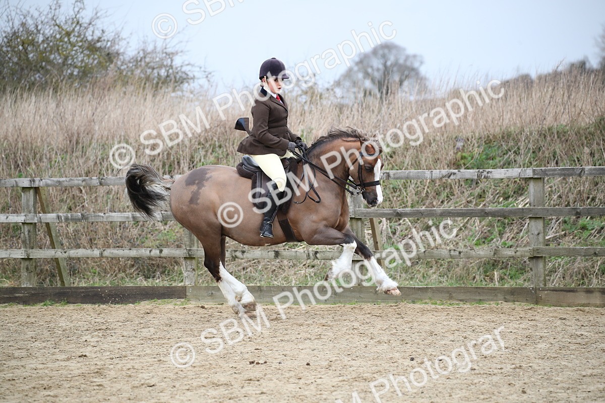 SBM_006123 - Class 10-13 - RIHS Small Large Breeds
