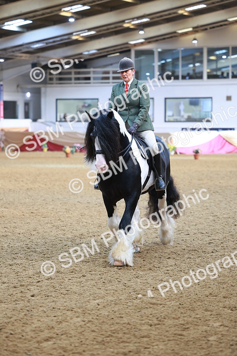 SBM_09462 - Class 102 - HOYS Veteran Qualifier - Ridden Veteran