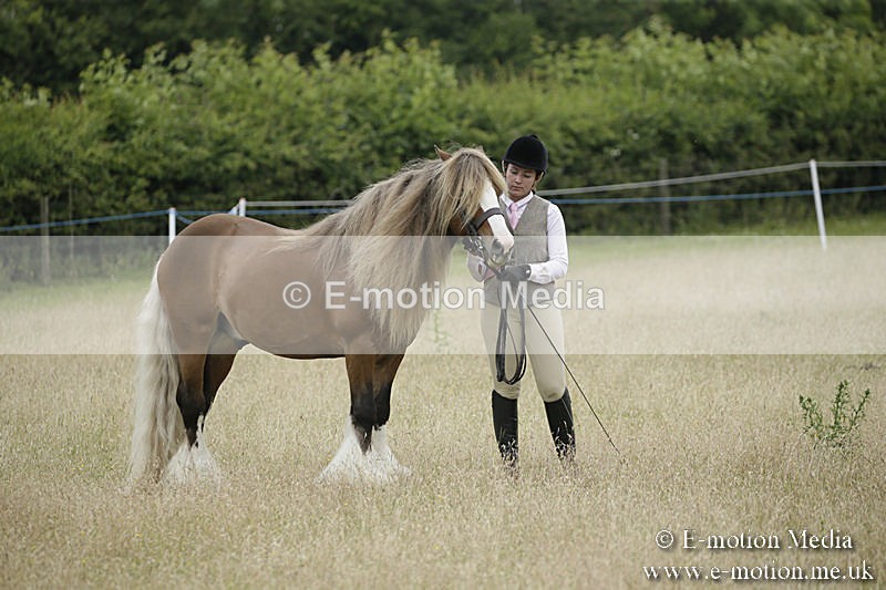 B230619-0741 - Bourne Valley Riding Club Summer Show 23/06/19