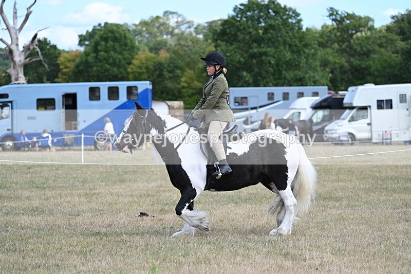 WJ7_6920 - Class 14 Ridden Coloured