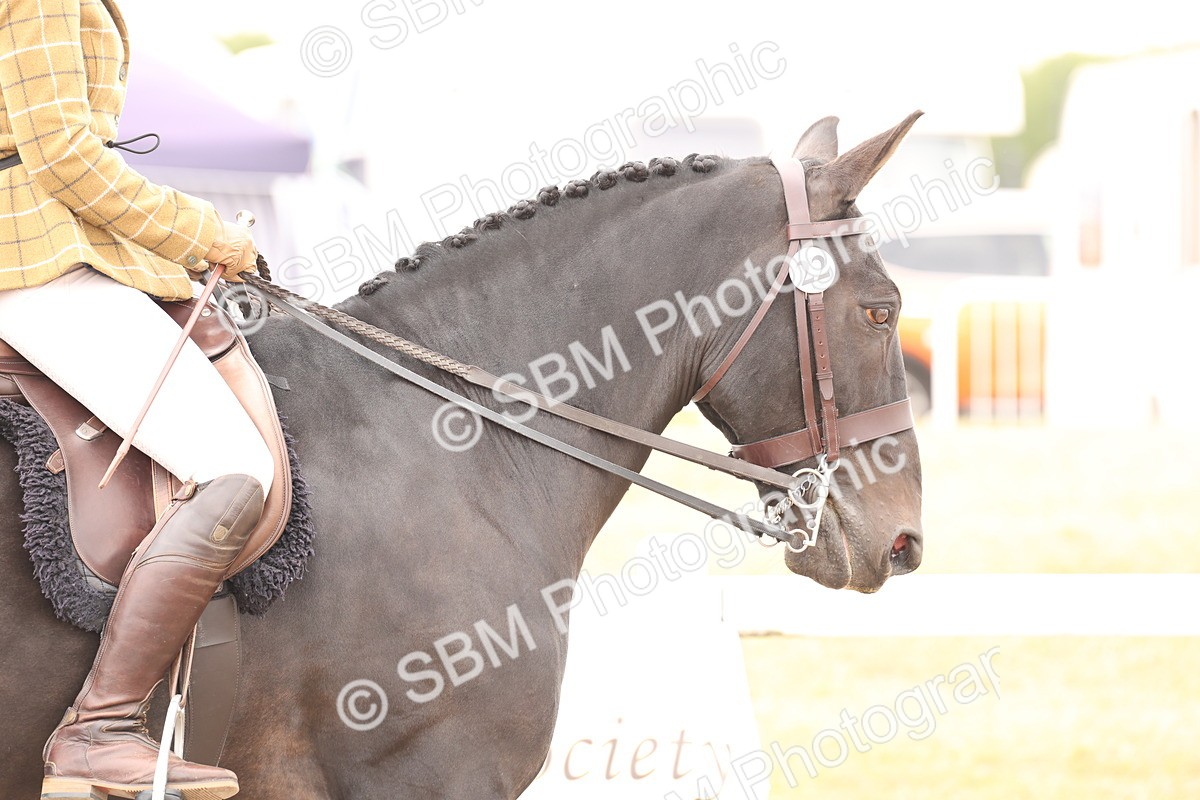 SBM_16458 - Class 212 - Ridden Hunter - Small