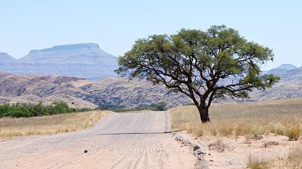  - African Journey