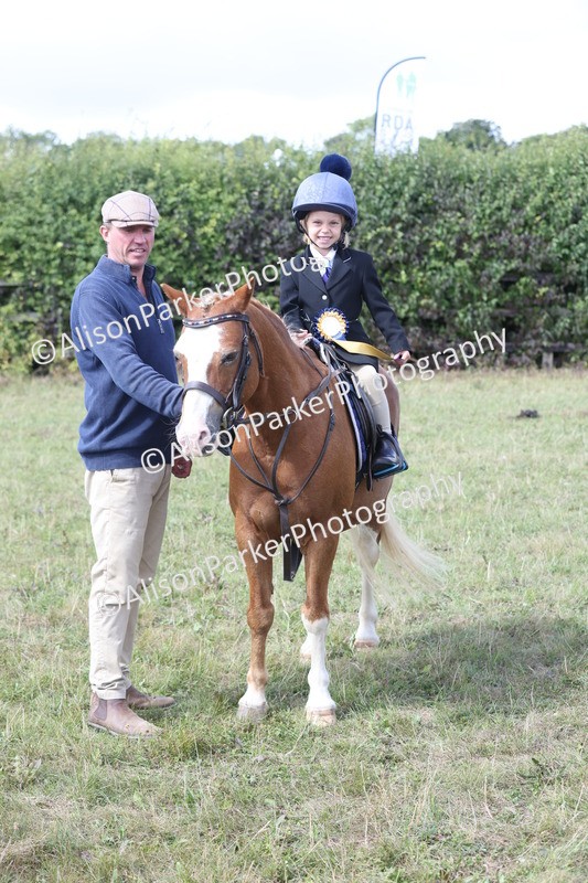 20250831-3255 - Class 24 - Absolute Beginners Pony