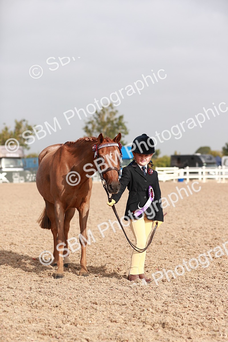SBM_09947 - Class 203 Young Handler, 10 years and under