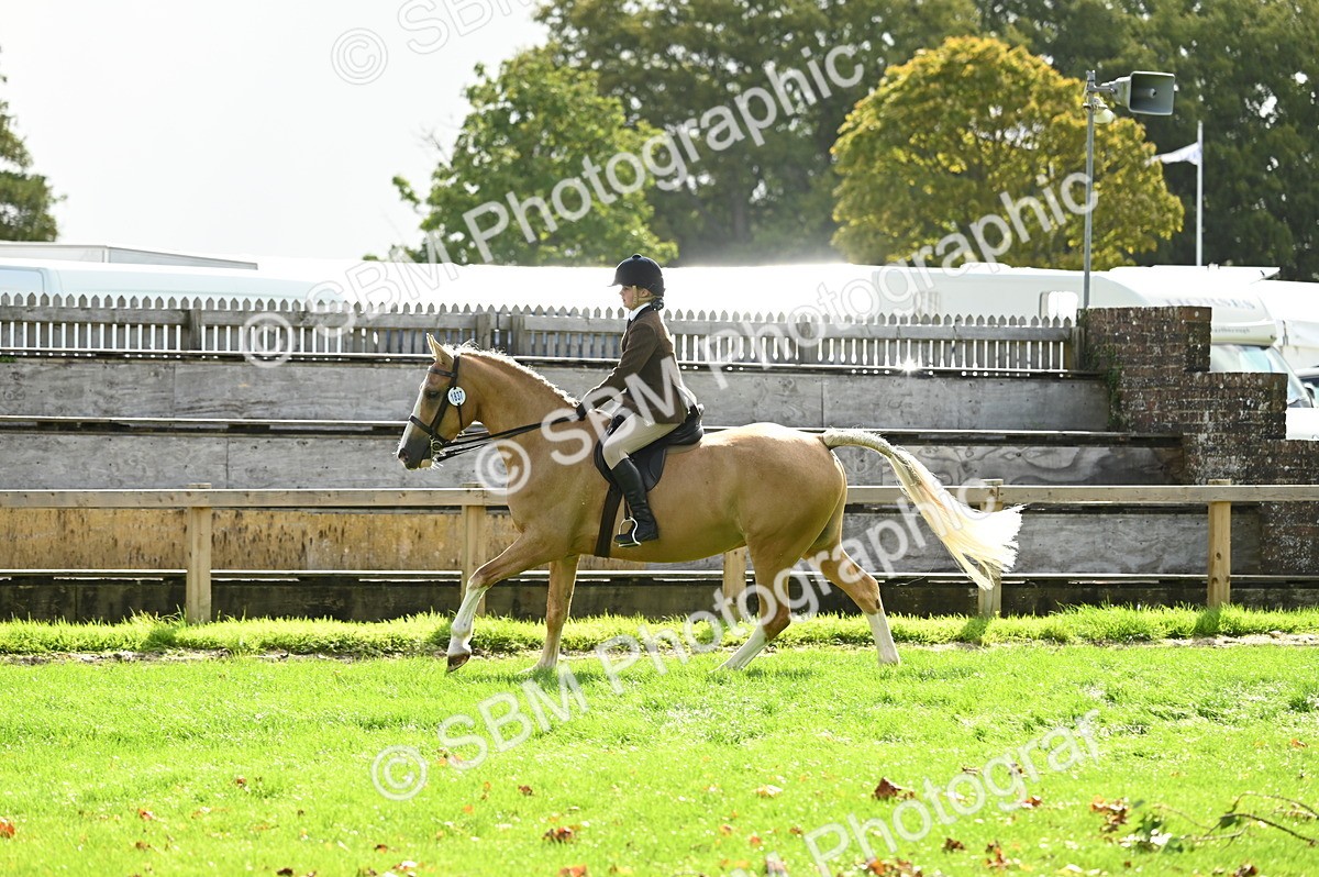 SBM_01718 - S2 - TSR Ridden Horse Showing