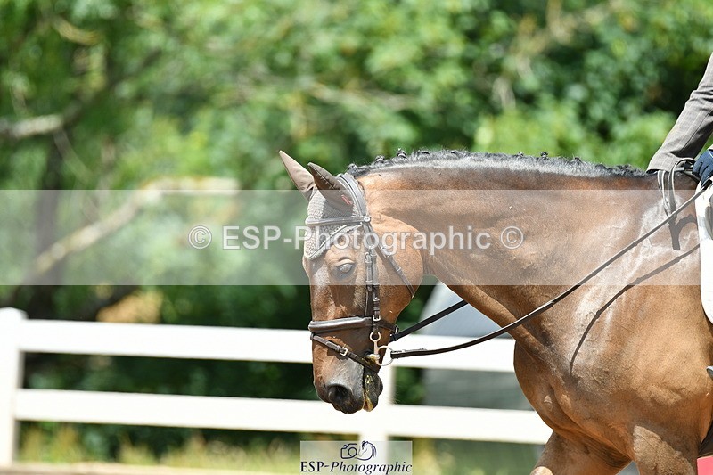 230702A-131740-09478 - Cls 29 Elementary 57