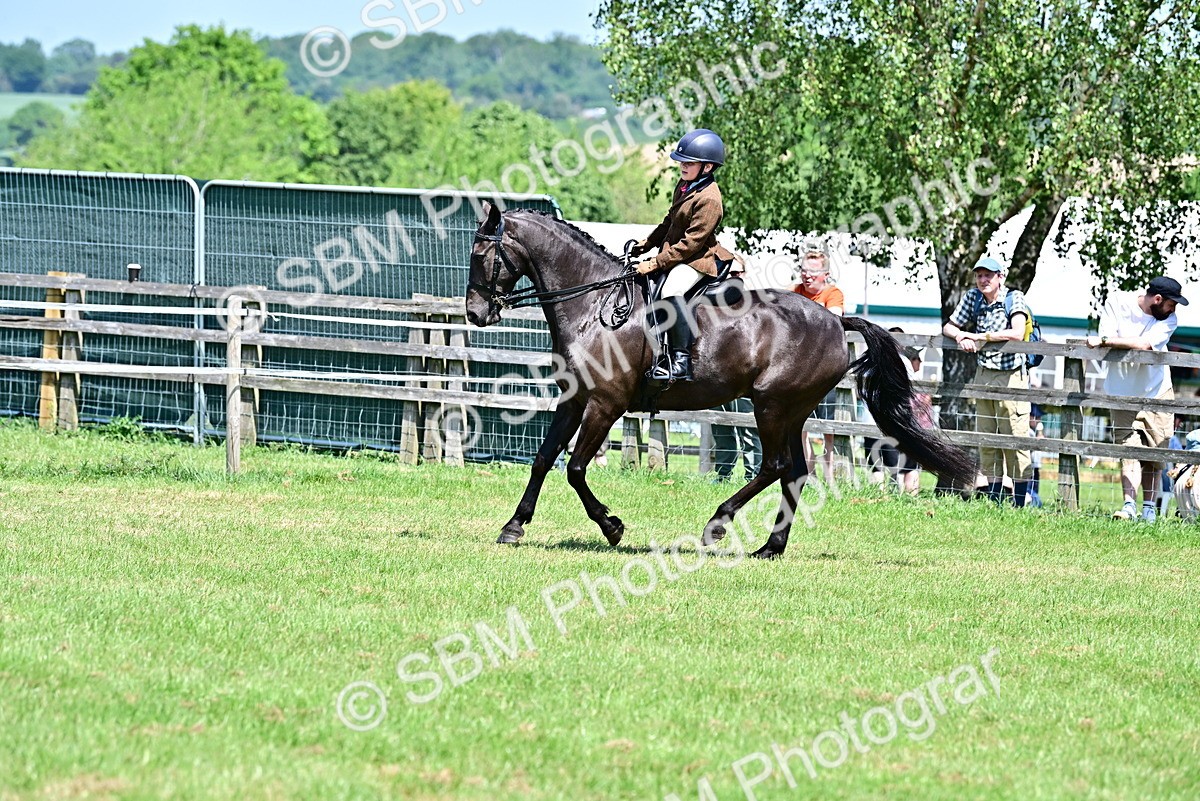 SBM_15392 - Class 95-97 - BSPS LHS Performance Ponies