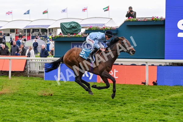 150525-Merchant-5341 - Race 7 5.25pm Haxby Handicap